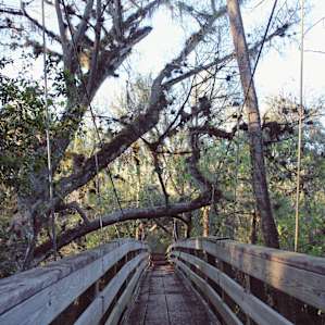 Hillsborough River Campground