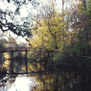 Hillsborough River Campground