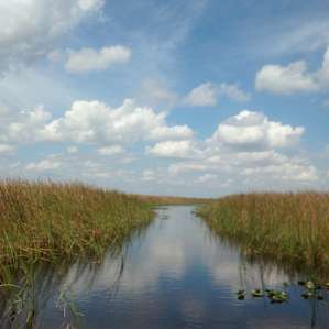 Everglades Everglades