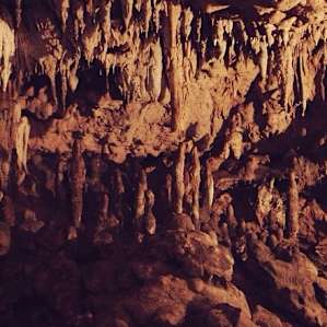 Florida Caverns Florida Caverns