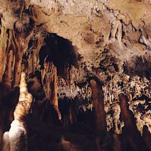 Florida Caverns Florida Caverns