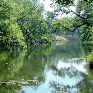 South Llano River South Llano River