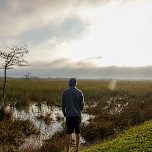 Everglades Everglades