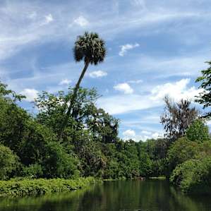 Silver Springs Silver Springs