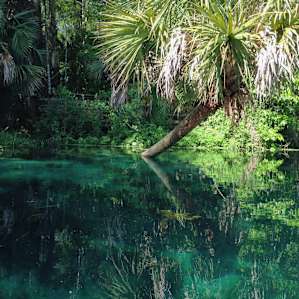 Silver Springs Silver Springs