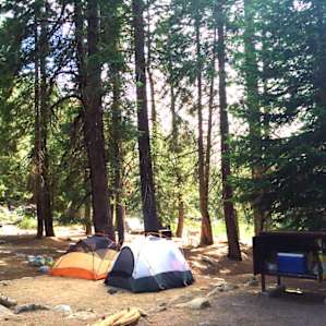 Lodgepole Campground