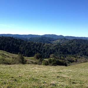 Austin Creek Backcountry Sites