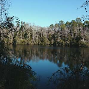 Apalachicola Apalachicola