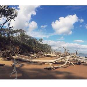 Little Talbot Island Little Talbot Island