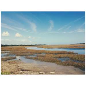 Little Talbot Island Little Talbot Island