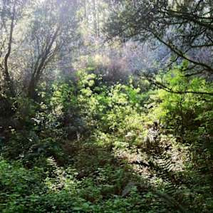 Glen Campground