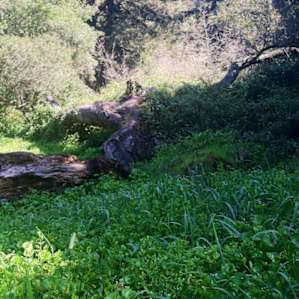 Glen Campground