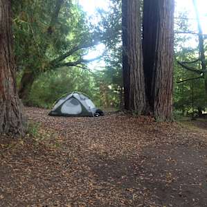 Campsite 4