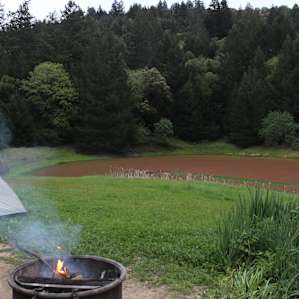 Austin Creek Backcountry Sites