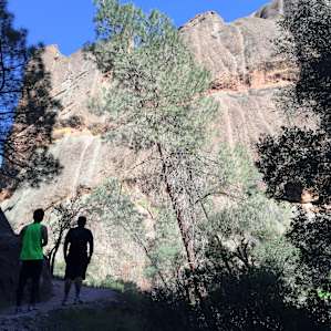 Huge rock walls. People were climbing some.