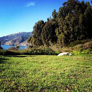 beautiful Kirk Creek campground
