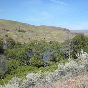 Deschutes River Deschutes River