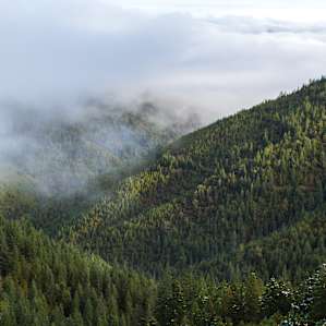 Rogue-River Siskiyou Rogue-River Siskiyou