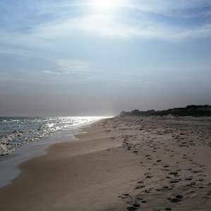 Grayton Beach Grayton Beach