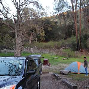 Site #81