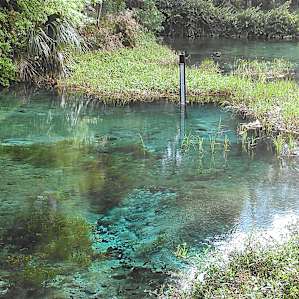 Rainbow Springs Campground
