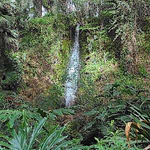 This is one of the old attractions created when Rainbow Springs was an amusement park.