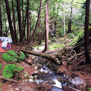 Limekiln Limekiln