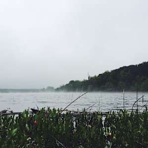 Foggy morning on Meridian Lake