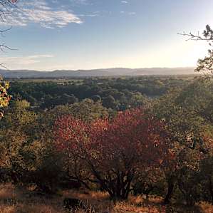 Lower Bayview Campground