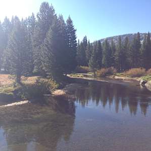 Tuolumne Meadows Walk-In Campground