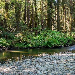 Some sites sit on the edge of a stream that is great for cooling off on hot days