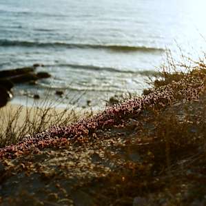 Crystal Cove Crystal Cove