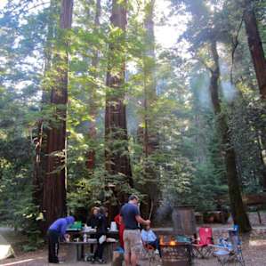 Portola Redwoods Portola Redwoods