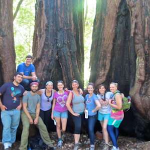 Portola Redwoods Portola Redwoods