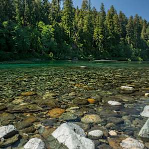 Jedediah Smith Redwoods Jedediah Smith Redwoods