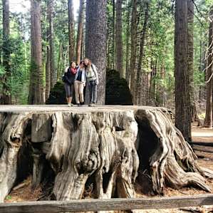 Calaveras Big Trees Calaveras Big Trees
