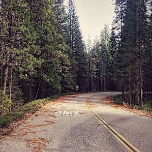 Calaveras Big Trees Calaveras Big Trees