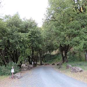 Upper camp sites (8-18), in the shade, also along the river