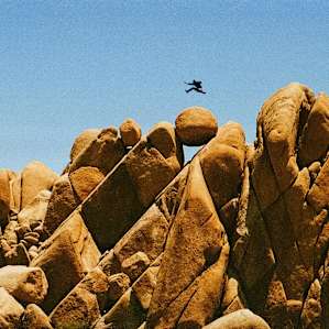 Fun at Jumbo Rocks