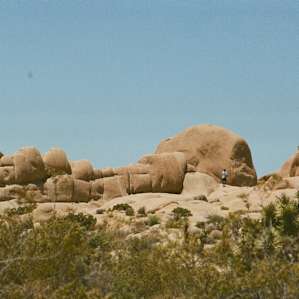 Jumbo Rocks Campground