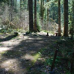 Site #3
