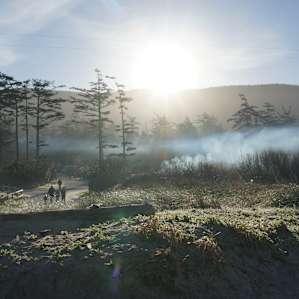 Cape Lookout Cape Lookout