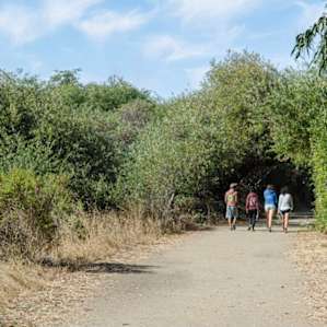 Trail from camp sites to beach!