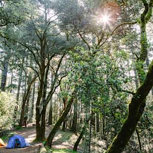Campsites #6 and #7 are spacious and adjacent to each other. If you can snag them both, you can fit a good-sized crew of friends here!
