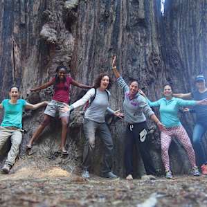 Hiking in this tiny park is minimal - just a few miles in total - but the trees are spectacular.