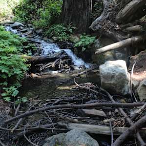 Start of the Ewoldsen Trail.