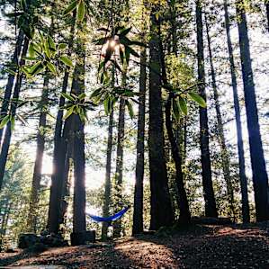 Pantoll Campground