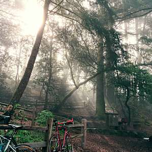 Foggy early morning