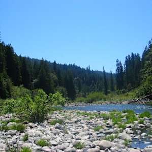 Grizzly Creek Redwoods Grizzly Creek Redwoods