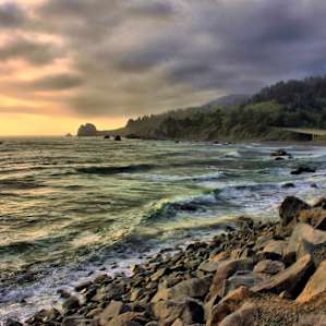 Del Norte Coast Redwoods Del Norte Coast Redwoods